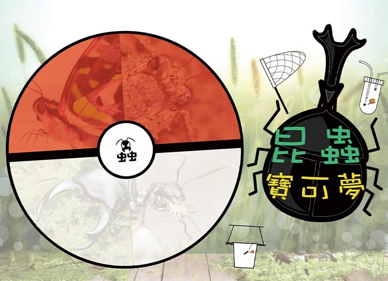 【2023蟲窩暑期單日營隊-昆蟲寶可夢】